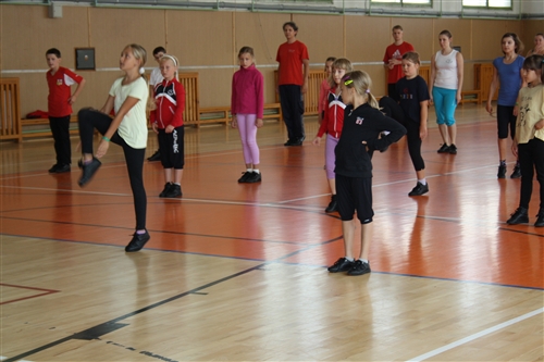 Obrázek v galerii